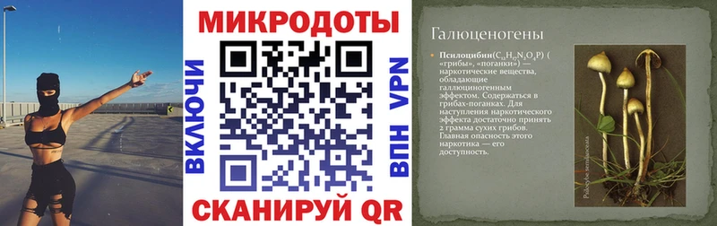 Псилоцибиновые грибы GOLDEN TEACHER  MEGA ССЫЛКА  Североморск 
