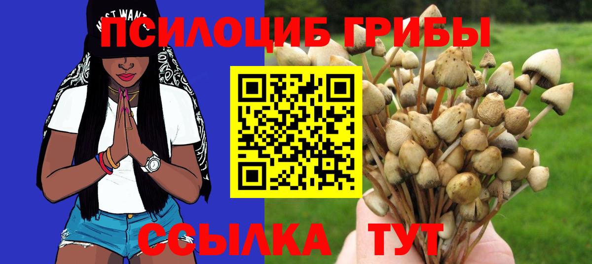 Галлюциногенные грибы мухоморы  Вход с VPN  Североморск 